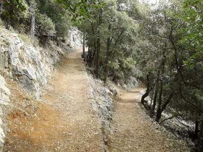 Holiday apartment Ferienwohnung (A2+2) mit Whirlpool im Freien - Environment photo 43