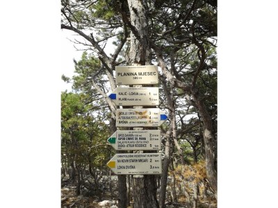 Holiday apartment Ferienwohnung (A2+2) mit Whirlpool im Freien - Environment photo 47