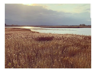 Holiday house Beifang - Environment photo 28