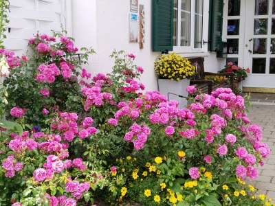 Apartment Apartment "W" - 1 Schlafraum/Bad/WC - Outdoor photo 34