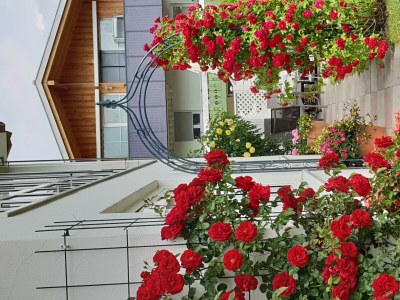 Apartment Apartment "KA" - 1 Schlafraum/Bad/WC - Outdoor photo 34