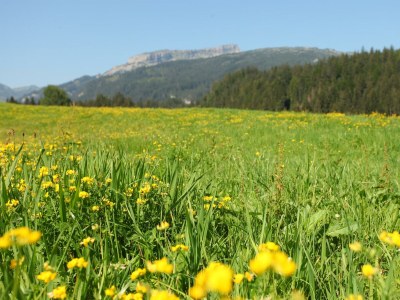 Apartment Apartment/Wohn-Schlafraum/Dusche, WC,Gipfelstürmer - Outdoor photo 45