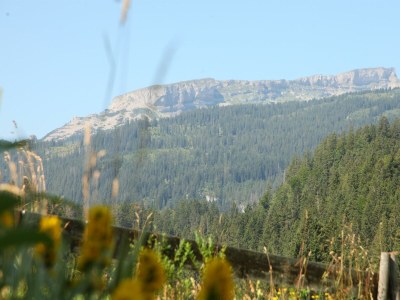 Apartment Fewo Bergsteiger /2 Schlafräume/Dusche, WC - Outdoor photo 59