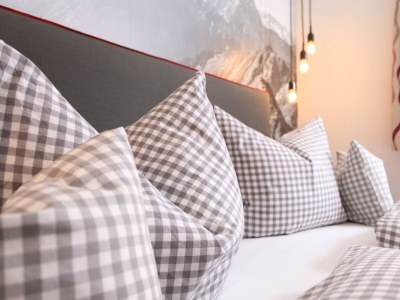 Apartment Fewo Bergsteiger /2 Schlafräume/Dusche, WC - Features photo 135