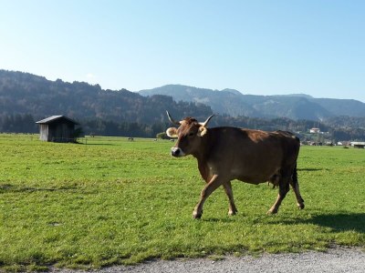 Apartment Appartement Steinadler 323 im Aparthotel - Outdoor photo 21