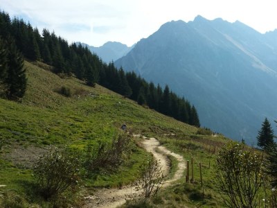 Apartment Appartement Steinadler 323 im Aparthotel - Outdoor photo 23