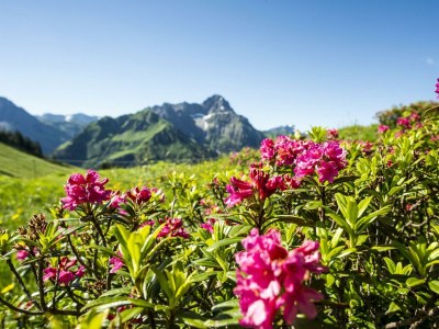 Apartment Appartement Steinadler 323 im Aparthotel - Outdoor photo 30