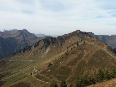 Apartment Appartement Steinadler 323 im Aparthotel - Outdoor photo 32