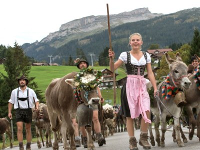 Apartment Appartement Steinadler 323 im Aparthotel - Outdoor photo 34