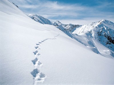 Apartment Appartement Steinadler 323 im Aparthotel - Outdoor photo 39