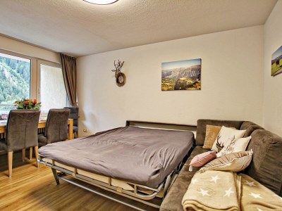 Apartment Appartement Steinadler 323 im Aparthotel - Features photo 50