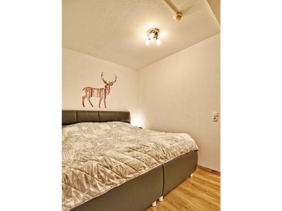 Apartment Appartement Steinadler 323 im Aparthotel - Features photo 63