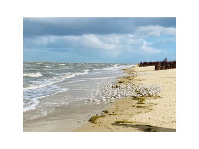 Holiday apartment Aurora - Environment photo 32