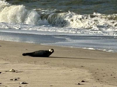 Holiday apartment Aurora - Environment photo 37