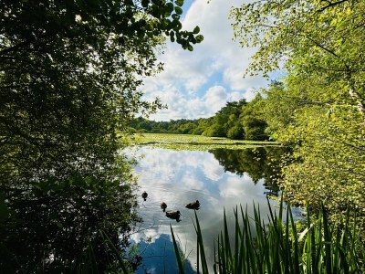 Holiday apartment Aurora - Environment photo 39