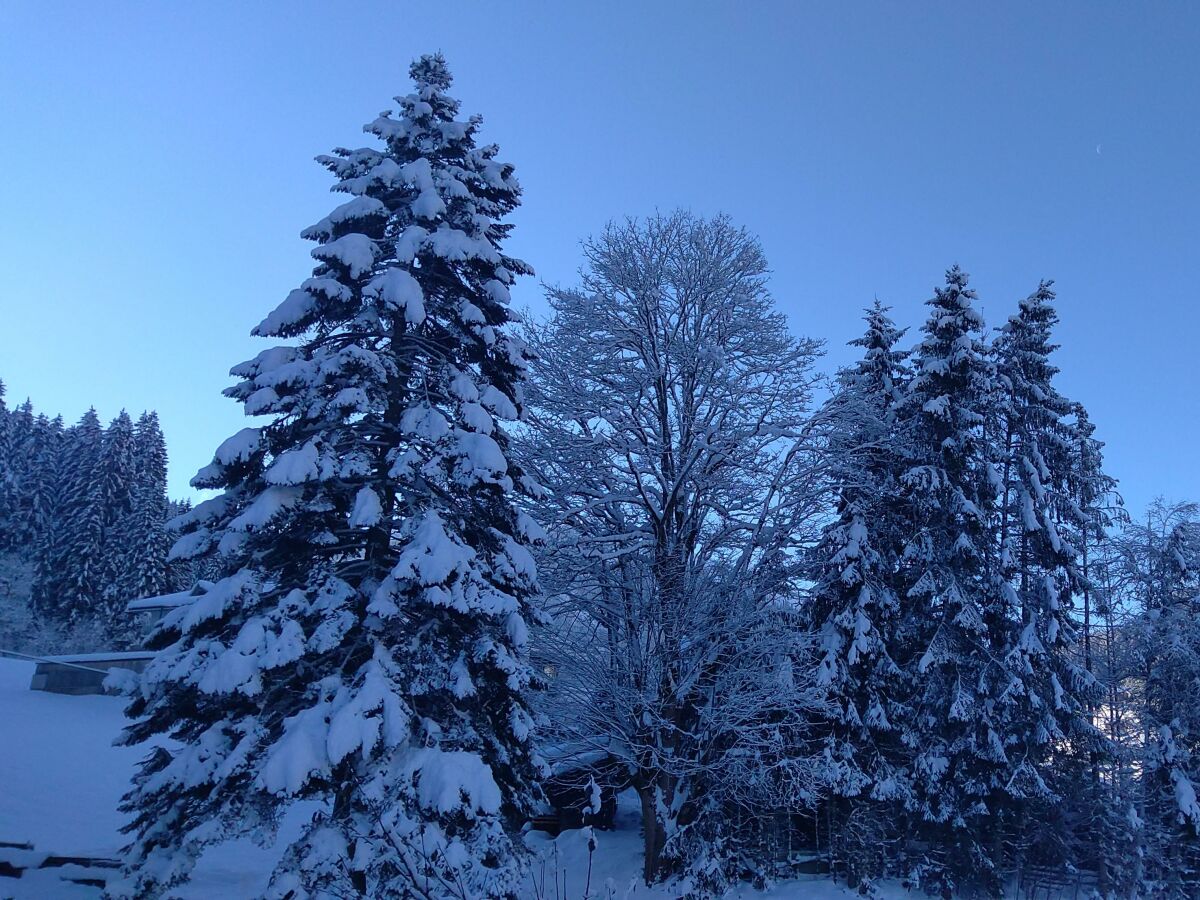 Apartment Apartment 13 | Apartment & Zusatzzimmer m. Bad/WC - Outdoor photo 4