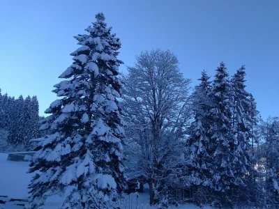 Apartment Apartment 23 | Schlafzimmer & Wohn-Schlafraum - Outdoor photo 9