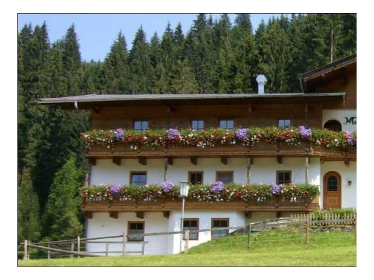 Apartment Apartment 01 | 1 Schlafraum mit Schlafsofa & Wohn-Schlafraum