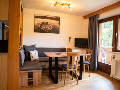 Apartment Apartment 01 | 1 Schlafraum mit Schlafsofa & Wohn-Schlafraum - Features photo 22