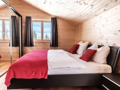 Chalet Chalet Bergwinter (Heidi Chalets Falkertsee) - Features photo 19