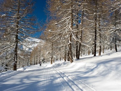 Chalet Chalet Bergwinter (Heidi Chalets Falkertsee) - Environment photo 31