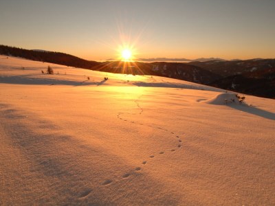 Chalet Chalet Bergwinter (Heidi Chalets Falkertsee) - Environment photo 33