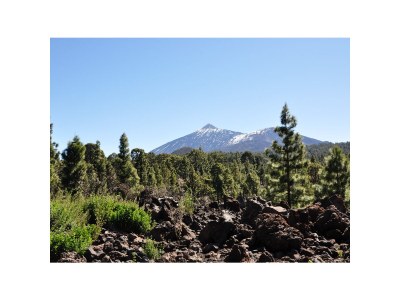 Holiday house Casa Anita - Playa las Americas - Environment photo 27