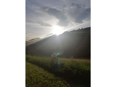 Holiday apartment Tera Baumannhof - Outdoor photo 11