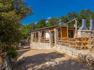 Holiday apartment FELINE with pool 400m from the beach - Environment photo 37