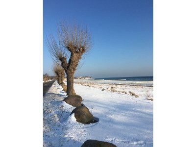 Holiday apartment 4**** Ferienwohnung in Strandnähe mit Sonnenbalkon - Environment photo 15