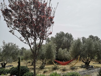 Holiday house Endion Villa - Outdoor photo 9