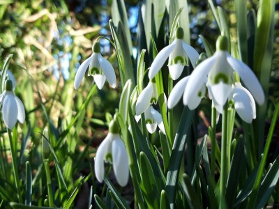 Holiday house Orchismient 14 - Environment photo 29