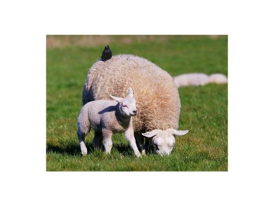 Holiday house Orchismient 14 - Environment photo 30