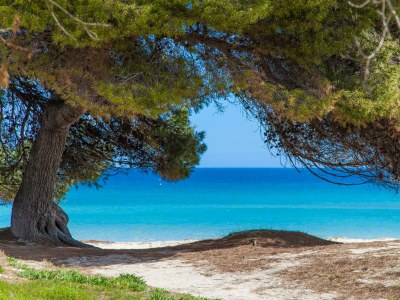 Holiday apartment Sun Of The Bay Vidalba 3 (B2 - A3) - Environment photo 20