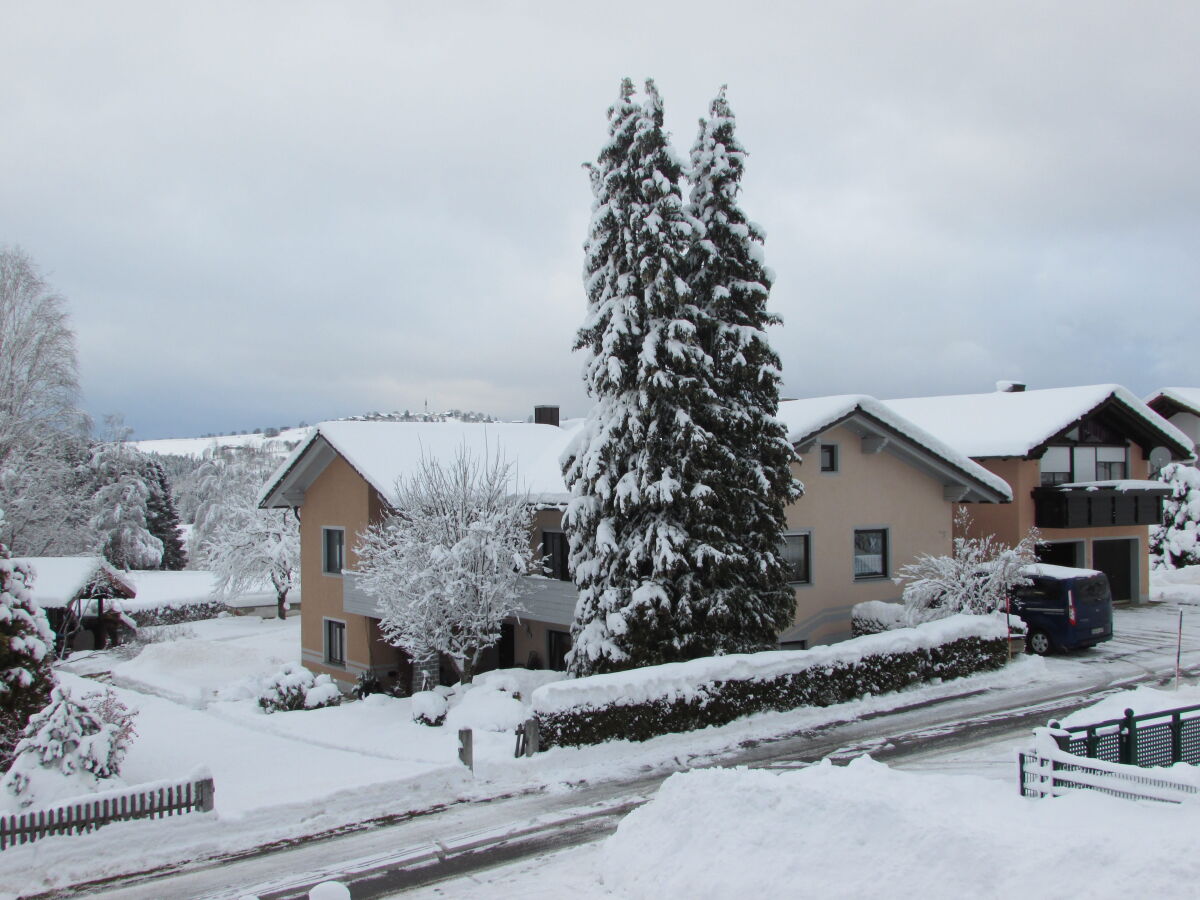Holiday apartment Haselberger - Outdoor photo 5