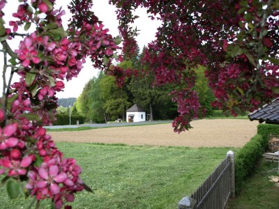 Holiday apartment Haselberger - Outdoor photo 7