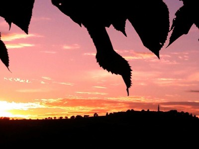 Holiday apartment Haselberger - Outdoor photo 9