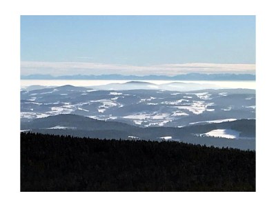 Holiday apartment Haselberger - Outdoor photo 11