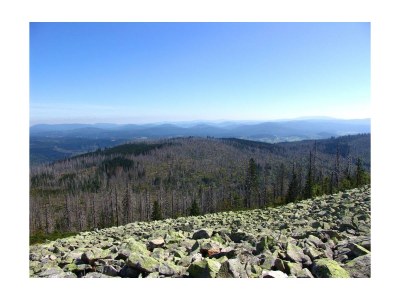 Holiday apartment Haselberger - Outdoor photo 13