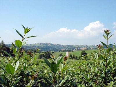 Holiday apartment Haselberger - Environment photo 29