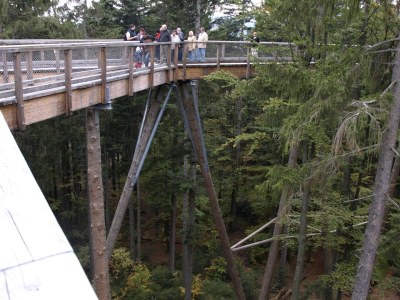 Holiday apartment Haselberger - Environment photo 30