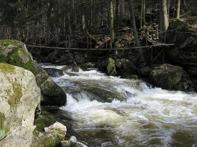 Holiday apartment Haselberger - Environment photo 33