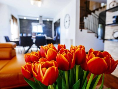 Villa Enna with heated pool, Zadar - Features photo 113