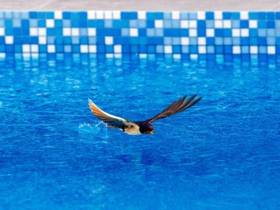 Villa Enna with heated pool, Zadar - Environment photo 123