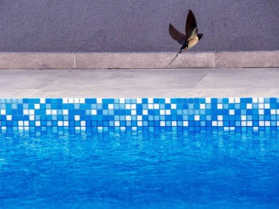 Villa Enna with heated pool, Zadar - Environment photo 124