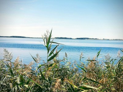 Holiday apartment Neue FeWo Boddenblick - Environment photo 18