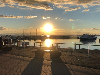 Holiday apartment Neue FeWo Boddenblick - Environment photo 20