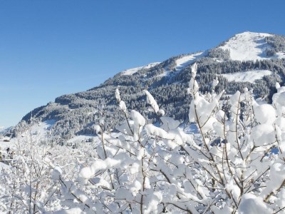 Apartment Ferienwohnung "12" -1 Schlafraum mit Badwanne/WC - Outdoor photo 17