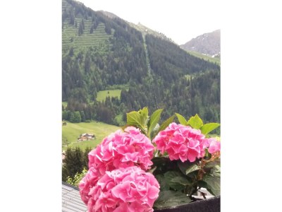 Apartment Alpenkönigin Fewo mit Dachterrasse - Outdoor photo 7