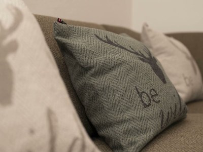 Apartment Alpenkönigin Fewo mit Dachterrasse - Features photo 21